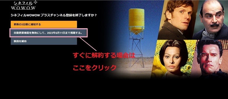 自動更新機能を無効にして視聴する