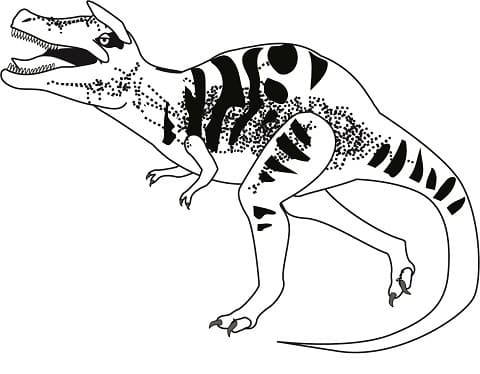 アルバートサウルス 恐竜