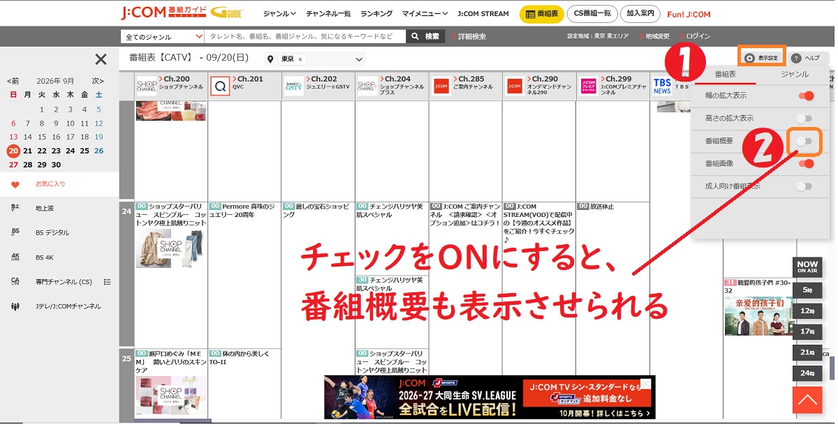 チェックを入れて番組概要を表示